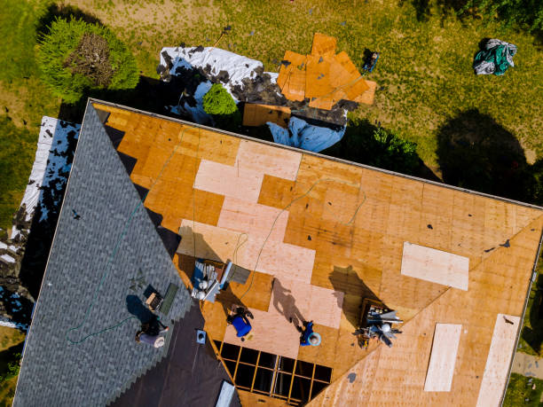 Best Roof Repair Specialists  in Tazewell, VA