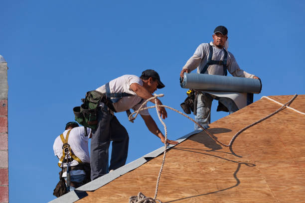 Best Roof Maintenance Services  in Tazewell, VA